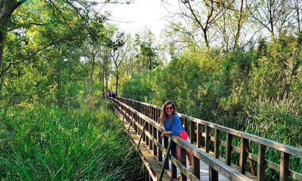 Karasu’dan Yazlık Satın Almak